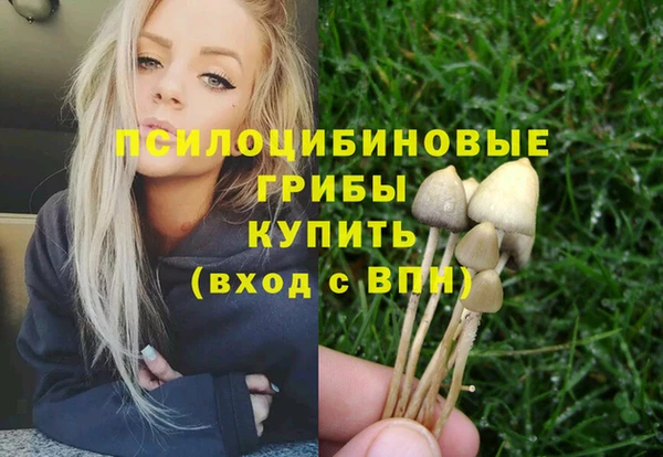 скорость Медвежьегорск