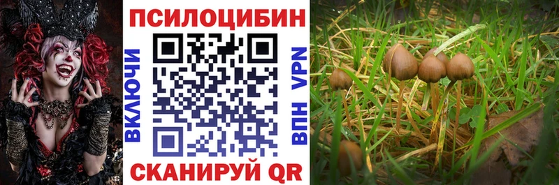 Галлюциногенные грибы GOLDEN TEACHER Абакан